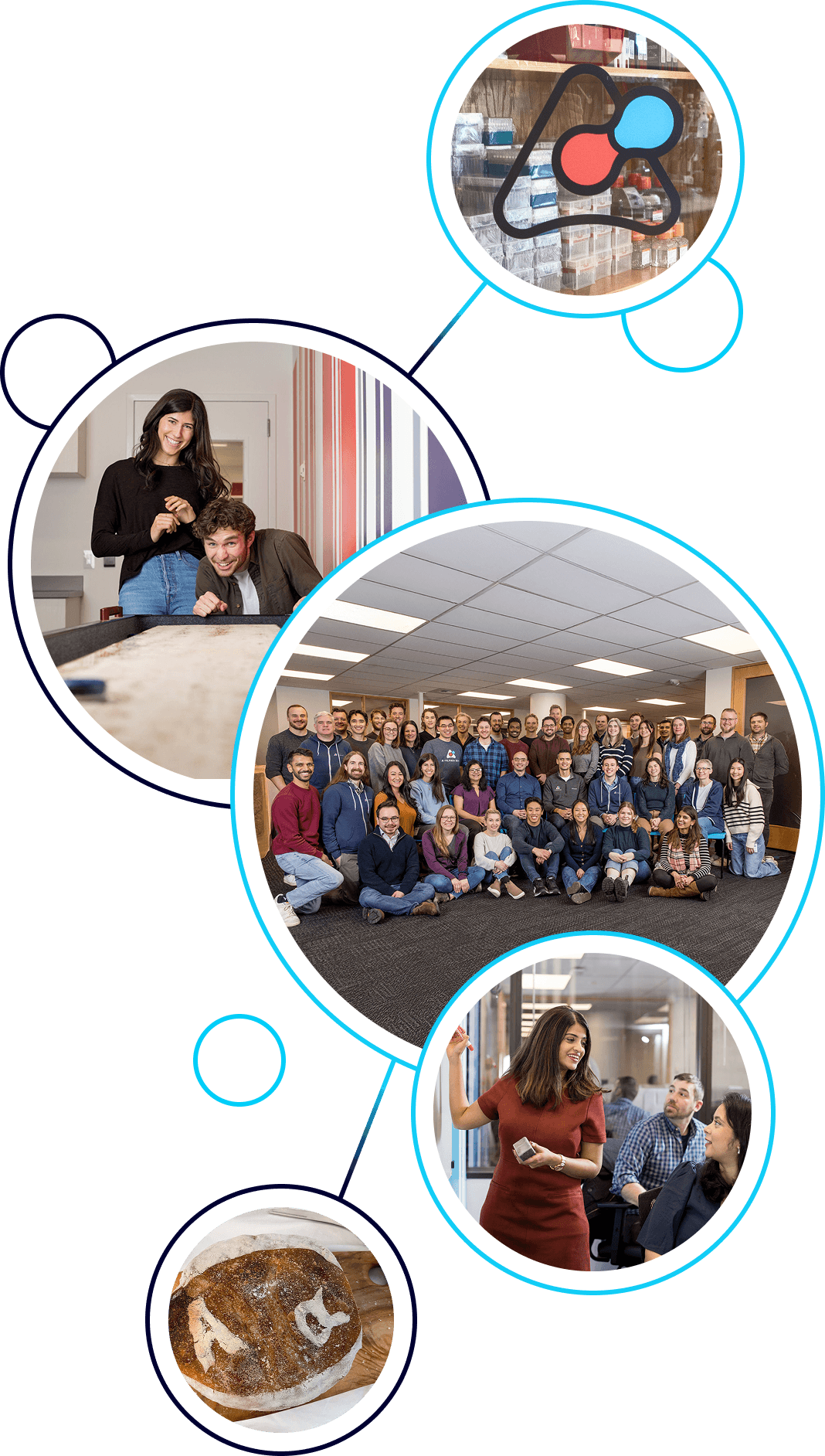 A-Alpha Bio Laboratories